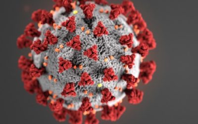 Une étude identifie le Coronavirus 2019 dans du sperme; mais pas sûr qu’il soit sexuellement transmissible